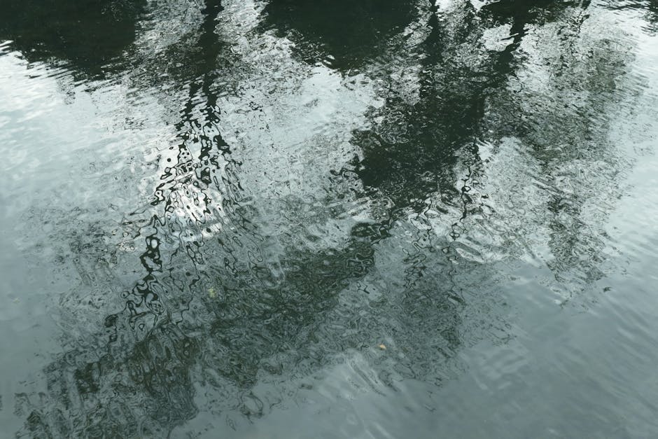 Persona usando una aplicación de astronomía en una tablet